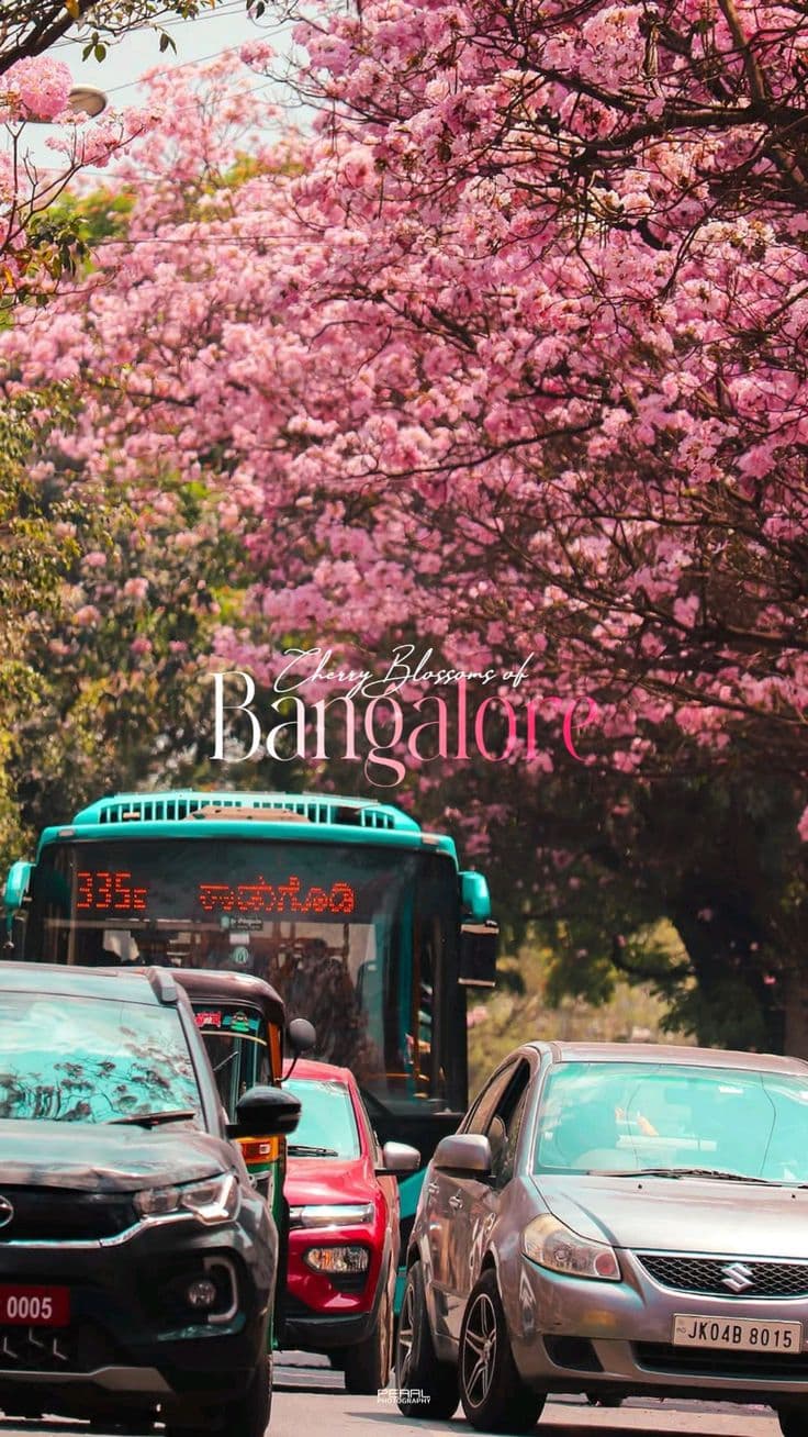 streets of bangluru