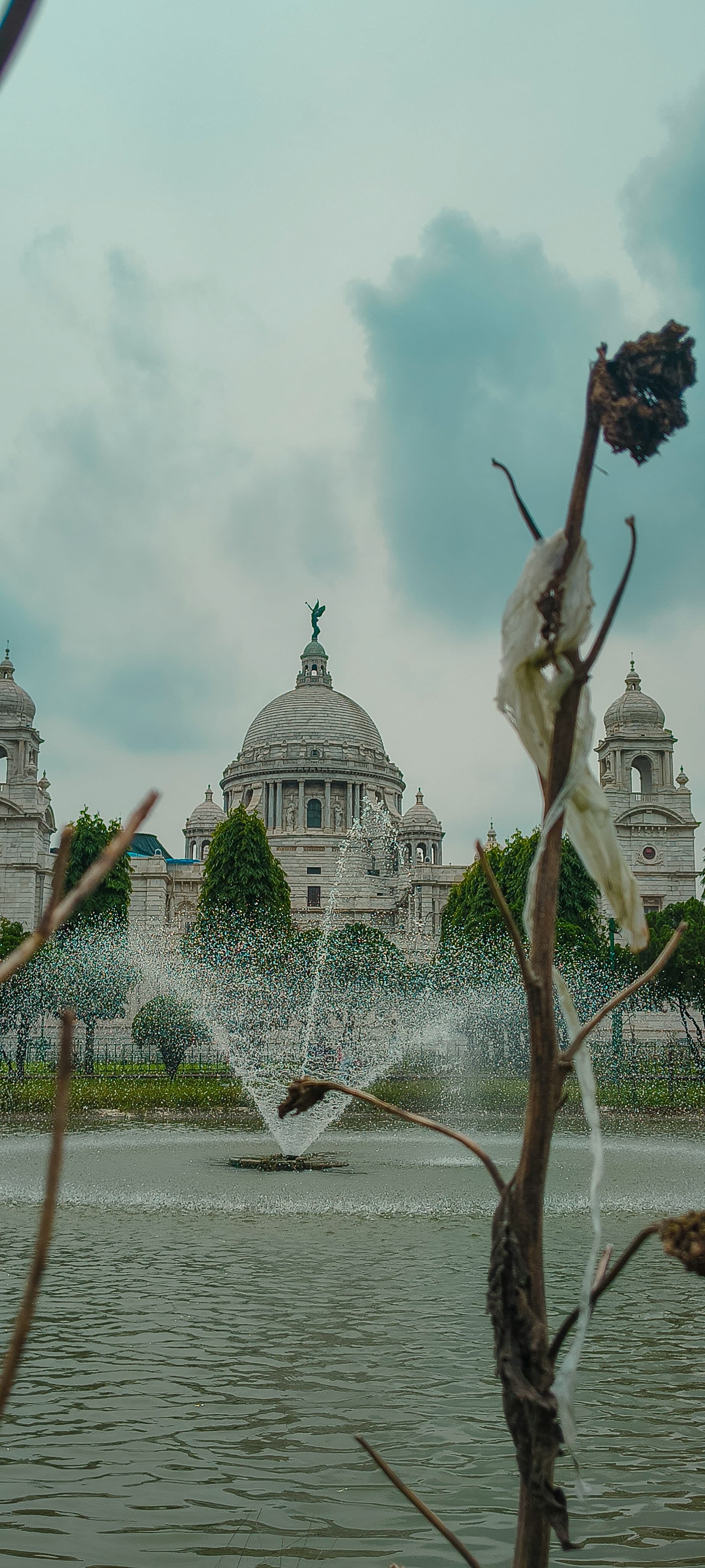 Bathed in soft light, where every moment feels a little more timeless and peaceful